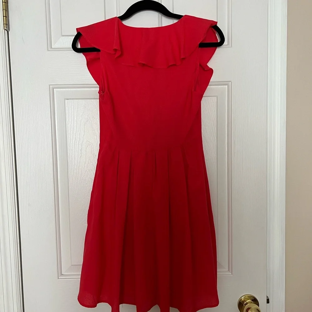 Express Dress - Picture 5 of 5